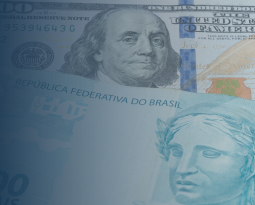 Celulose escapa de tarifaço dos EUA e alivia exportadoras brasileiras