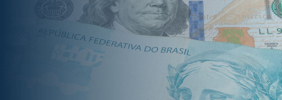 Celulose escapa de tarifaço dos EUA e alivia exportadoras brasileiras