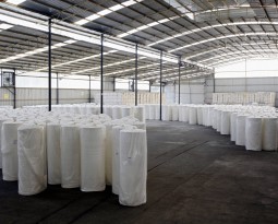 Expansão da celulose aumenta a demanda por profissionais qualificados no Brasil